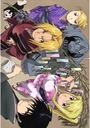 Plagát Fullmetal Alchemist fma_014 A2 (na objednávku)