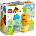 LEGO DUPLO Kreatívna hra Rastúca mrkva 10981