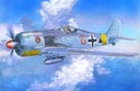 FW-190 F-2 Sschlachtfkugzeuge, C-11, 1:72