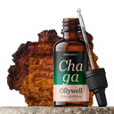 Poľský Błyskoporek podcorkowa Ollywelll Chaga Drops Power Adaptogen Extract