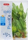 ZOLUX PLANTKIT IDRO N°2 Akvarijné rastliny