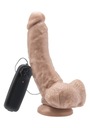 Vaginálne dildo Toy Joy, 20,5 cm, telovej farby