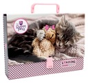 AKTA S RÚČKOU A4 6 CM THE SWEET PETS KAT