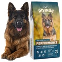 Suché krmivo pre aktívnych psov DIVINUS Labrador Shepherd 42% Mäso 20kg