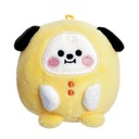 Line Friends BT21 - Plyšový maskot 8 cm Pong