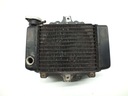 CHLADIČ VODY HONDA SH 125 01-06R