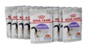 Royal Canin Sterilizované v želé 12x 85g