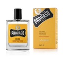 PRORASO KORÍN NA DREVO 100 ML