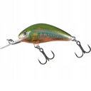 WOBLER SALMO H2S HOLOGRAPHIC OIKAWA