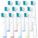 HLAVICE KEFEK ORAL-B - SADA 12 ks