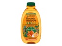 Garnier Botanic Therapy Kids šampón na vlasy 400ml (K) P2