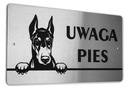 INOX tanier - POZOR PES - Doberman