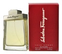 Salvatore Ferragamo Pour Homme toaletná voda v spreji 100 ml