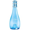 Davidoff Cool Water dámsky parfém 100ml. EDT.