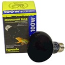 Komodo Moonlight 75W - nočná vykurovacia žiarovka