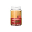 Boswellia kapsuly x 500 mg 100 ks.