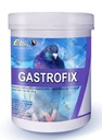 ELITA Gastrofix 250g