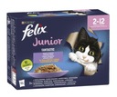 Felix Fantastic Junior 12x85 g