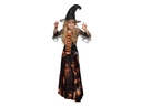 Kostým Dazzling Witch 10/12 rokov Halloween