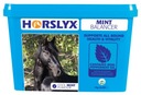 Horslyx Mint 5 kg vitamínový liz