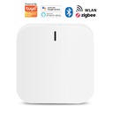 Multihub Central Zigbee WiFi Bluetooth brána TUYA