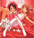 Plagát Anime Manga Love Hina loh_011 A2 (vlastný)