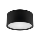 Stropné svietidlo ROLEN LED Black 15W NW 03782