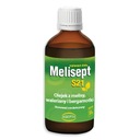 Melisept S21 100 ml ASEPTA