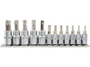 TORX TR KEYS SET ON RAIL 12 ks YATO 1/4 3/8