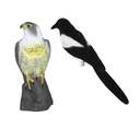 Straka Decoy Garden Repeller Falcon Decoy