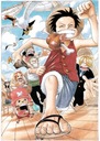 Anime Manga One Piece plagát op_194 A2