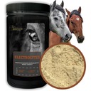 BIOFEED HORSE & PONY Elektrolyty v prášku s vitamínmi pre kone 900g