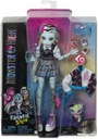 Základná bábika Frankie Stein Monster High