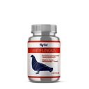 FLYVET Antifungus 250 ml - BAKTERICÍDNY PRÍPRAVOK