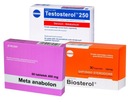 META ANABOLONE + TESTOSTEROL + BIOSTEROL VYSOKÉ LIBIDO