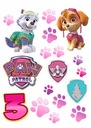 Tlač cukrovej pasty PAW Patrol Skye Everest digit