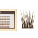 Hnedé trsy mihalníc - V-Lashes DIVINE Chocolate | Mini Box TURN C