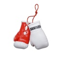 Mini boxerské rukavice vyrobené z PU - 7606/WR