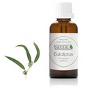 Prírodný esenciálny olej EUKALYPTUS 50 ML - Bassau