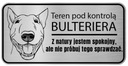 Pozornosť psom tanier bull teriér