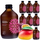 VIGO KOMBUCHA MANGO PASSION OD 330ml 8 kusov BAL