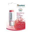 Balzam na pery Strawberry Shine Himalaya balzam na pery