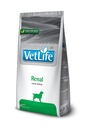 Farmina Vet Life Dog Renal 2 kg