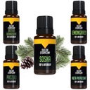 Sada saunových olejov 5x 10ml Tea Tree