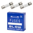 100 KS TRUBICE SKLENENÁ POISTKA CE 2,5A 5x20mm WTA-T