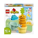 LEGO DUPLO Moja prvá rastúca mrkva 10981