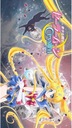 Bishoujo Senshi Sailor Moon bssm_032 A2 (vlastné)