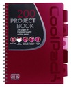 A4 100k mriežkový notebook CoolPack Project Book