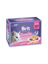 Brit mix príchutí 12 x 85g FAMILY PLATE želé