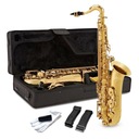 V-TONE TS 100 tenor saxofón s puzdrom